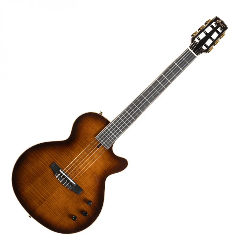 akustiskgitarr202607240932293188642