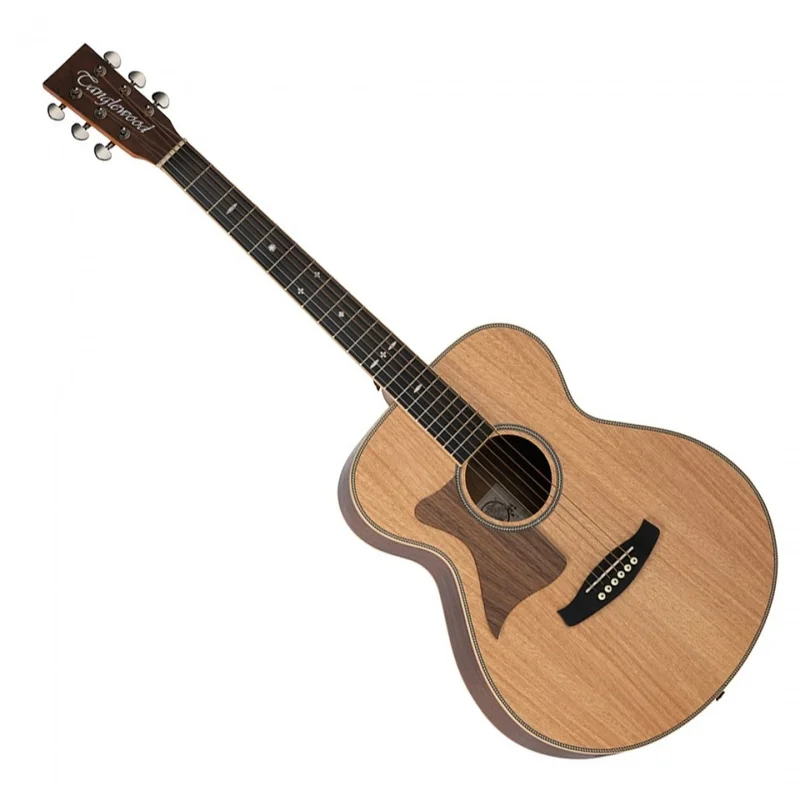 akustiskgitarr202607241133313200199