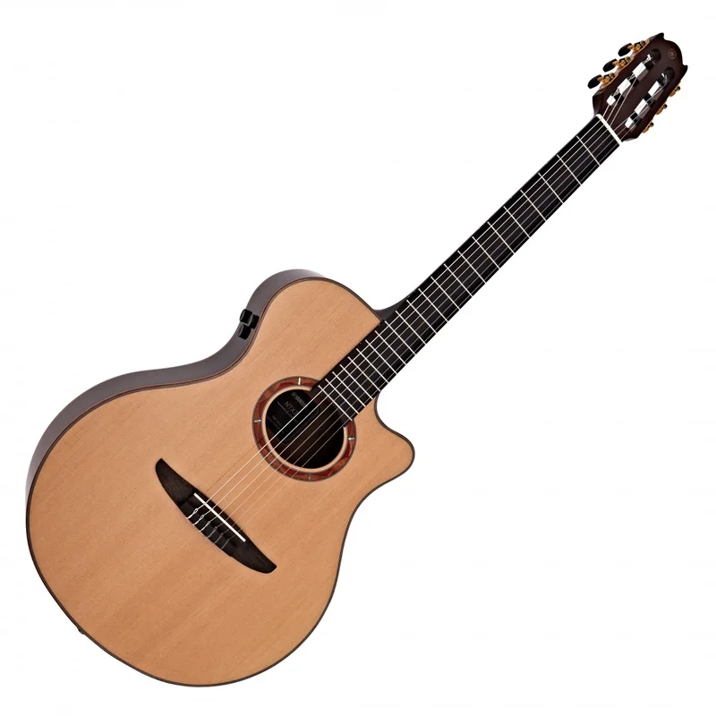 akustiskgitarr202607241144413201919