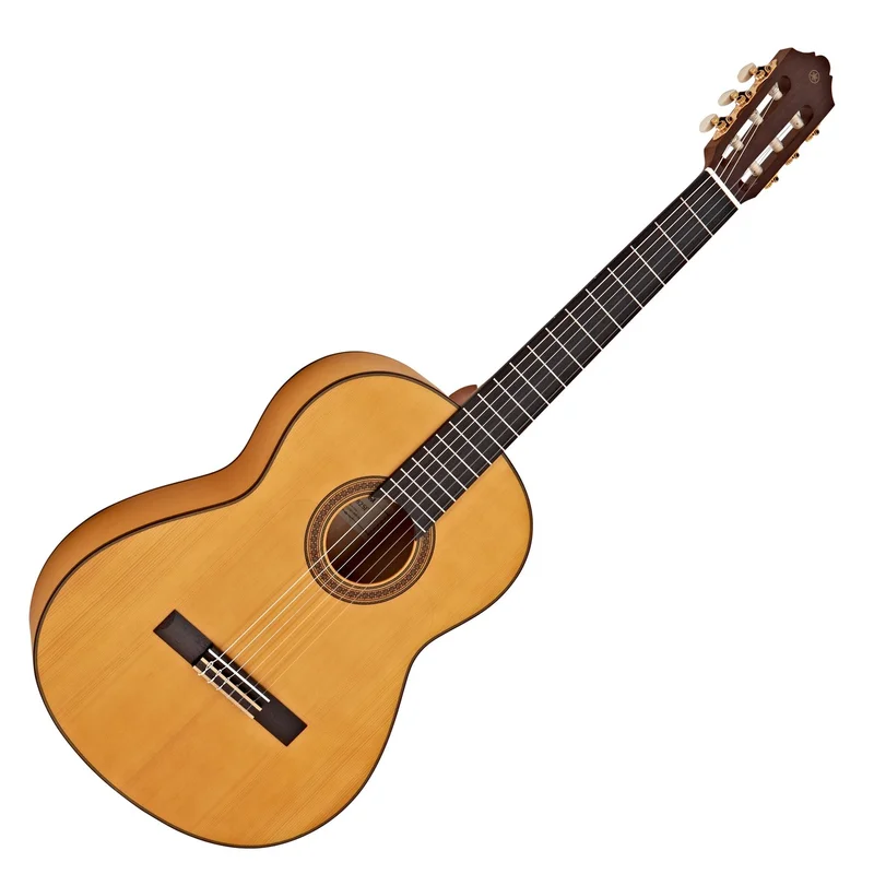 akustiskgitarr202607241200283204296