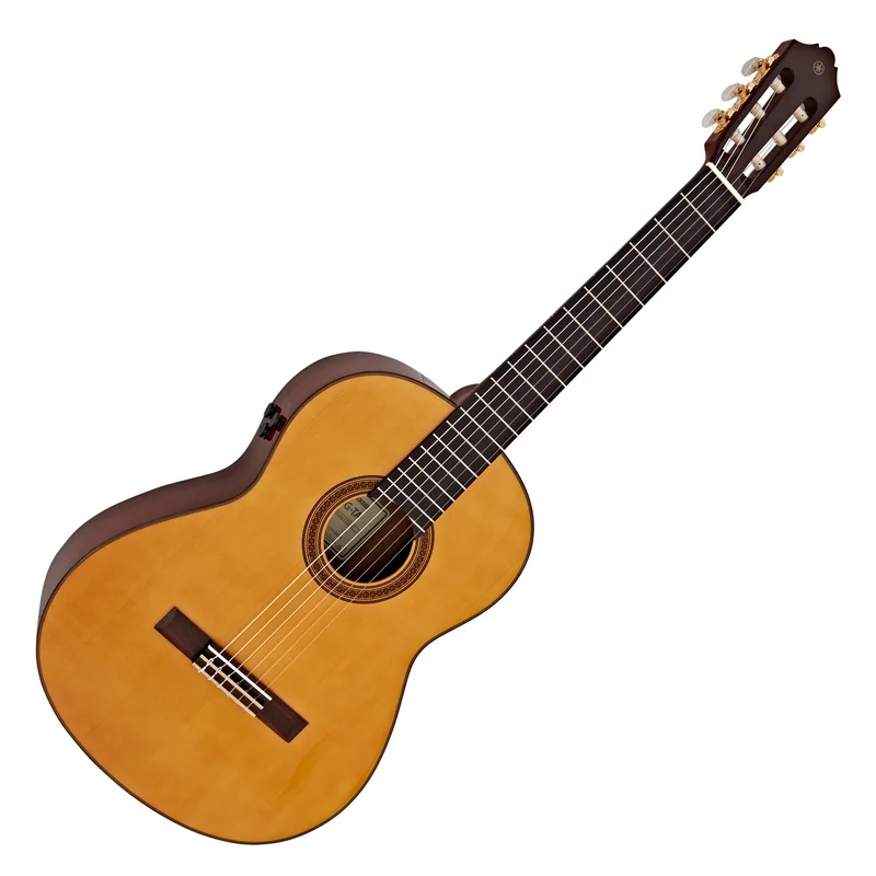 akustiskgitarr202607241200453204334
