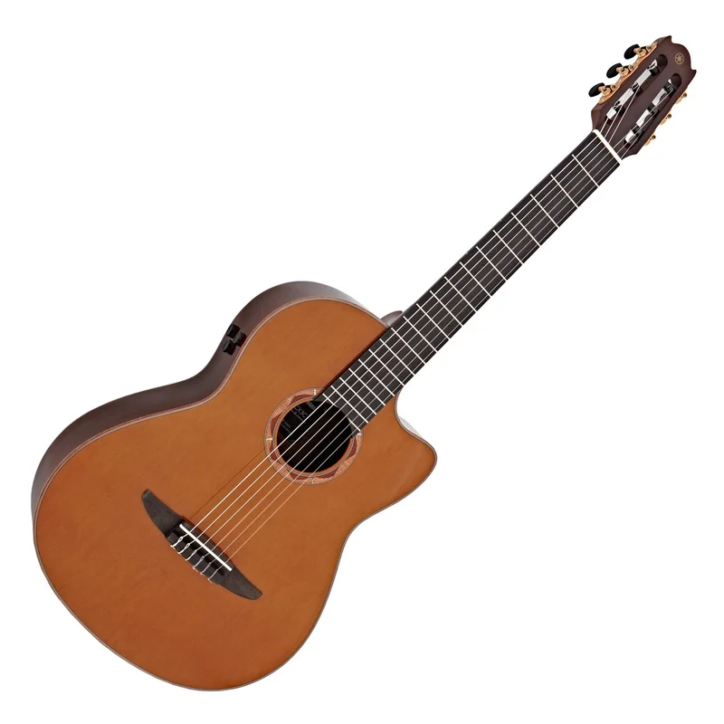 akustiskgitarr202607241200483204343
