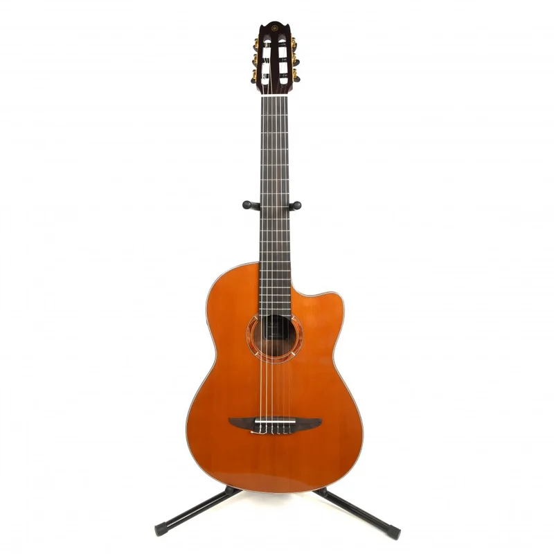akustiskgitarr202607241201273204436