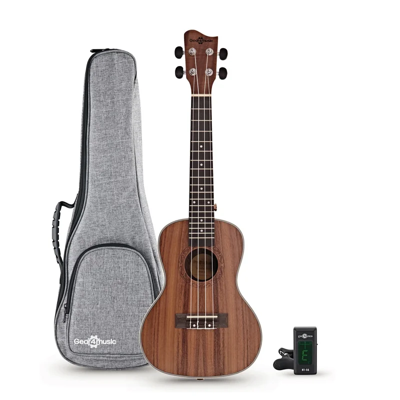 akustiskgitarr202607241640523240328
