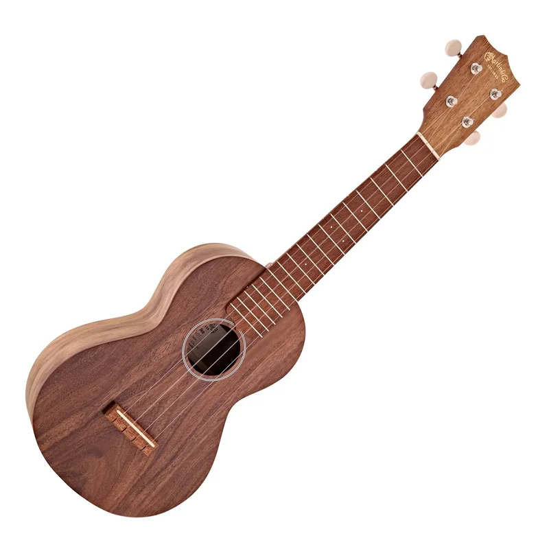 akustiskgitarr202607241645543241051
