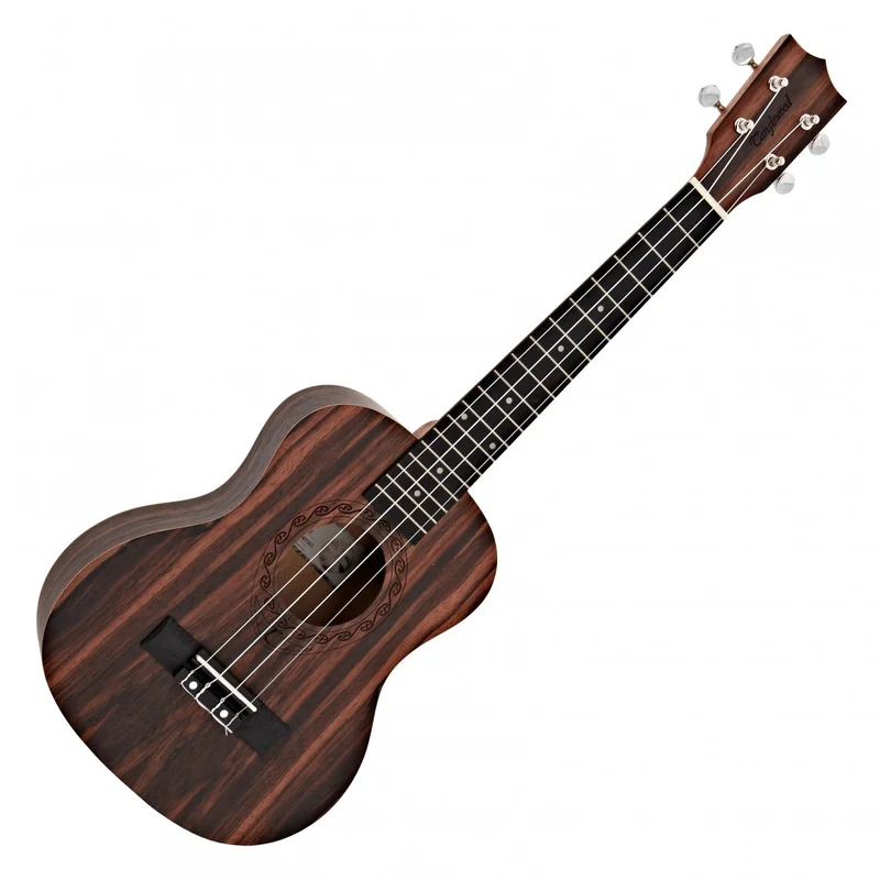 akustiskgitarr202607241648193241474