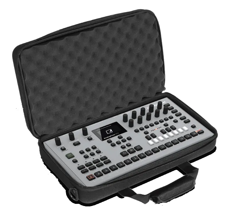 djservice202607250619513333317