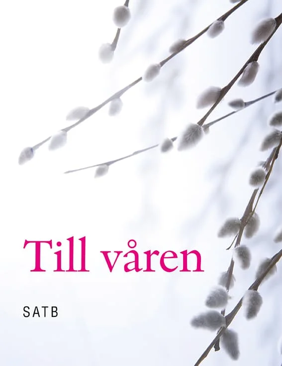 gottfridjohansson202607241448113223869