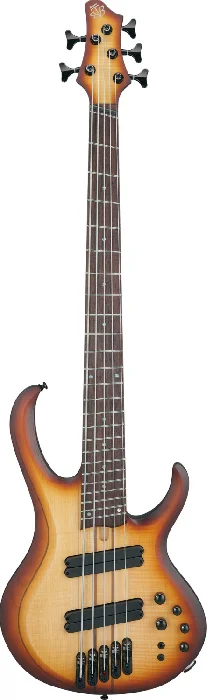 musikkallaren202607241144233201876